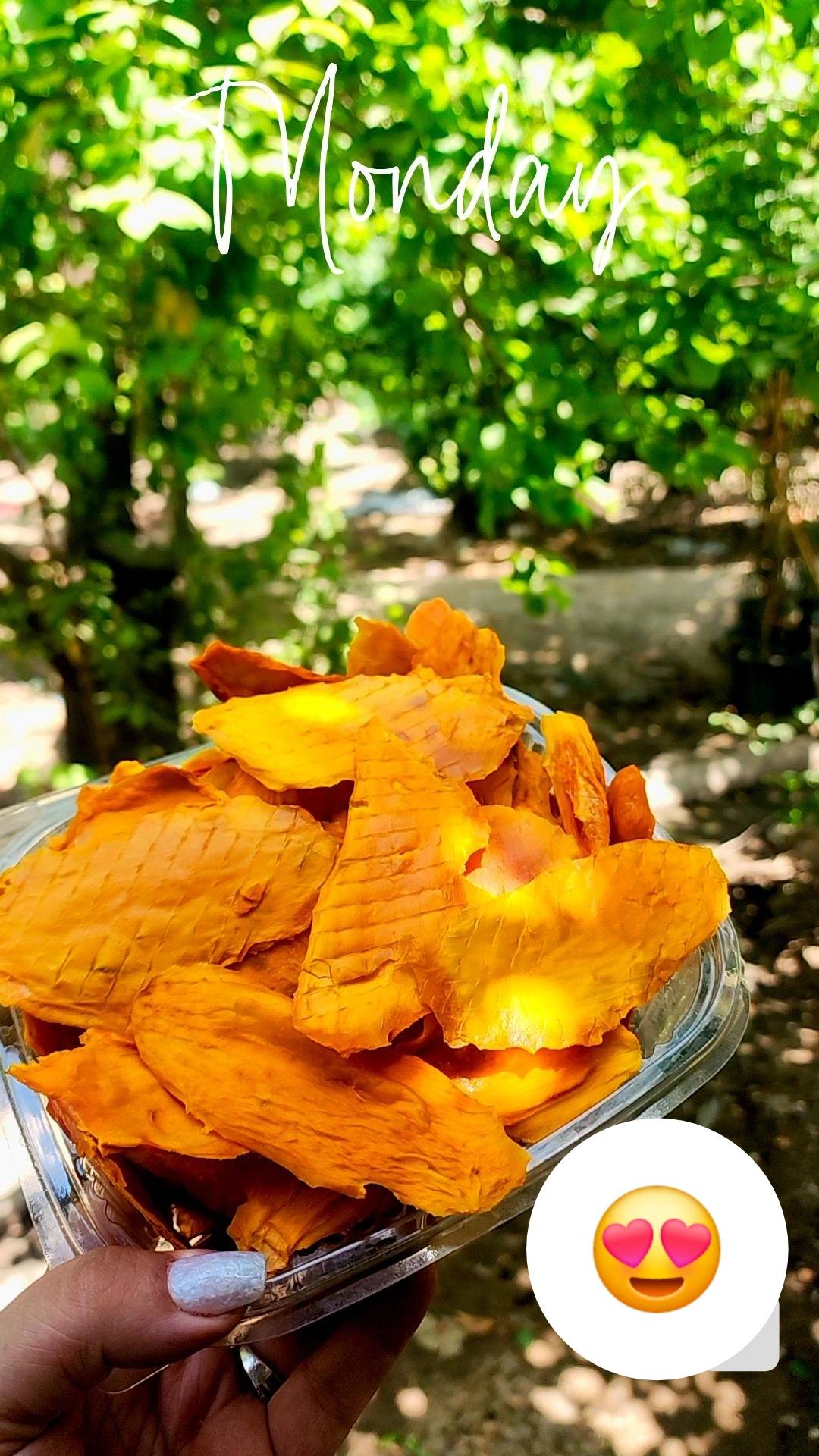 انبه خشک چونسه